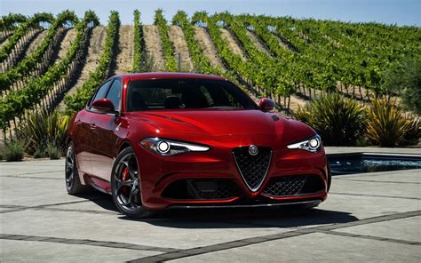 alfa romeo red.